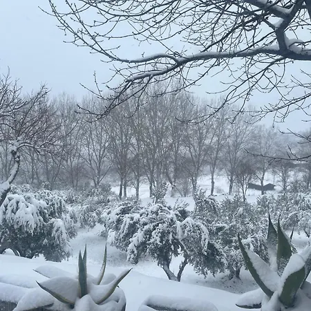 Bed & Breakfast Concaverde 3*