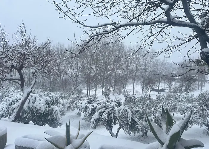 Bed & Breakfast Concaverde 3*